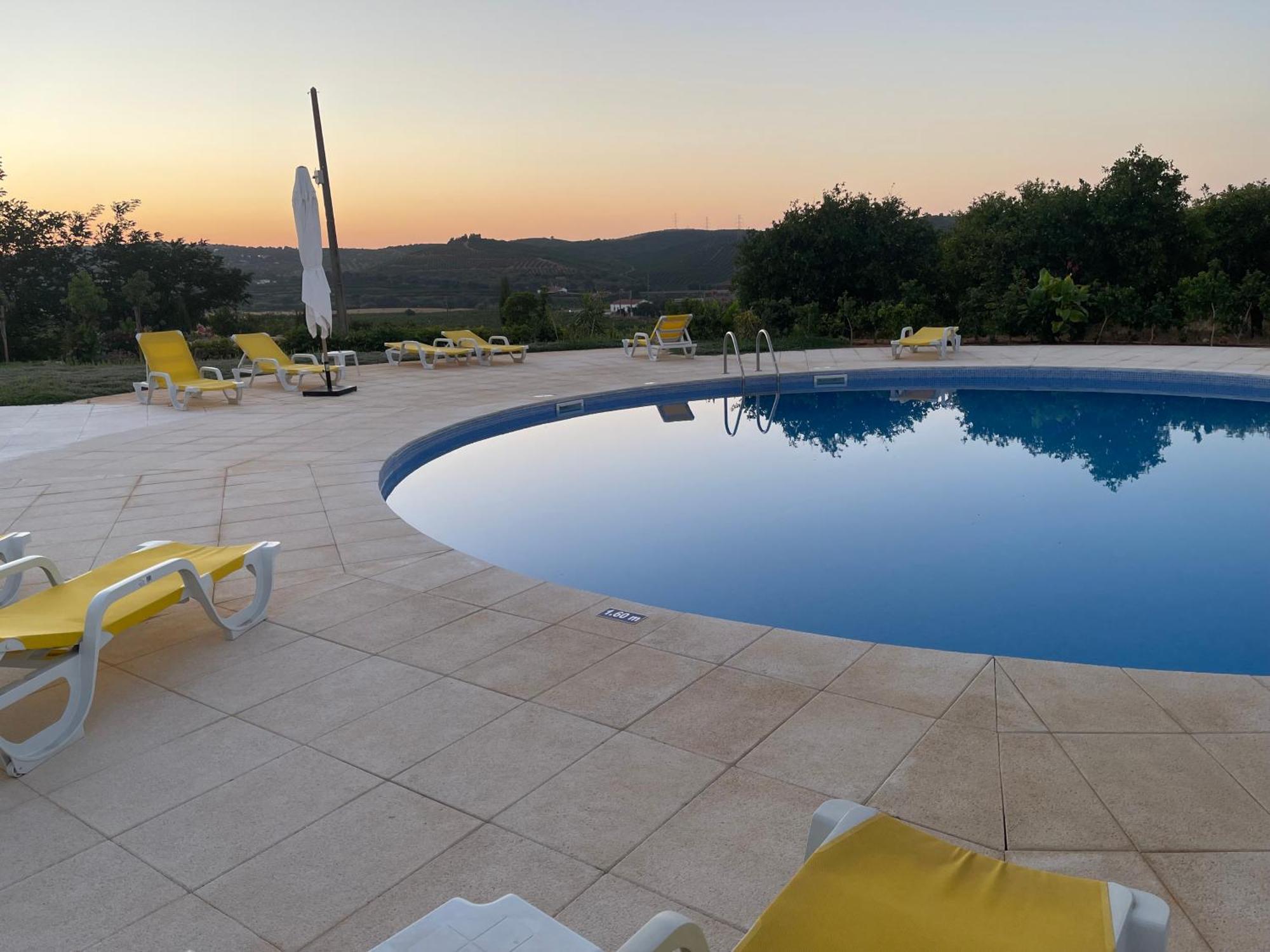 Orange Grove Silves